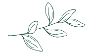 csi leaves